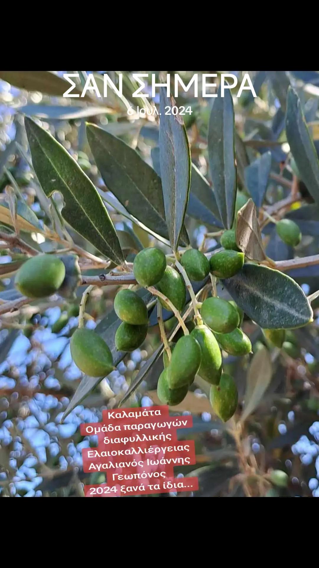@&Alpha;&gamma;&alpha;&lambda;&iota;&alpha;&nu;ό&sigmaf; &Iota;&omega;ά&nu;&nu;&eta;&sigmaf; &Gamma;&epsilon;&omega;&pi;ό&nu;&omicron;&sigmaf;