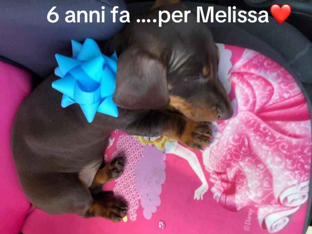 @Livio Brandi