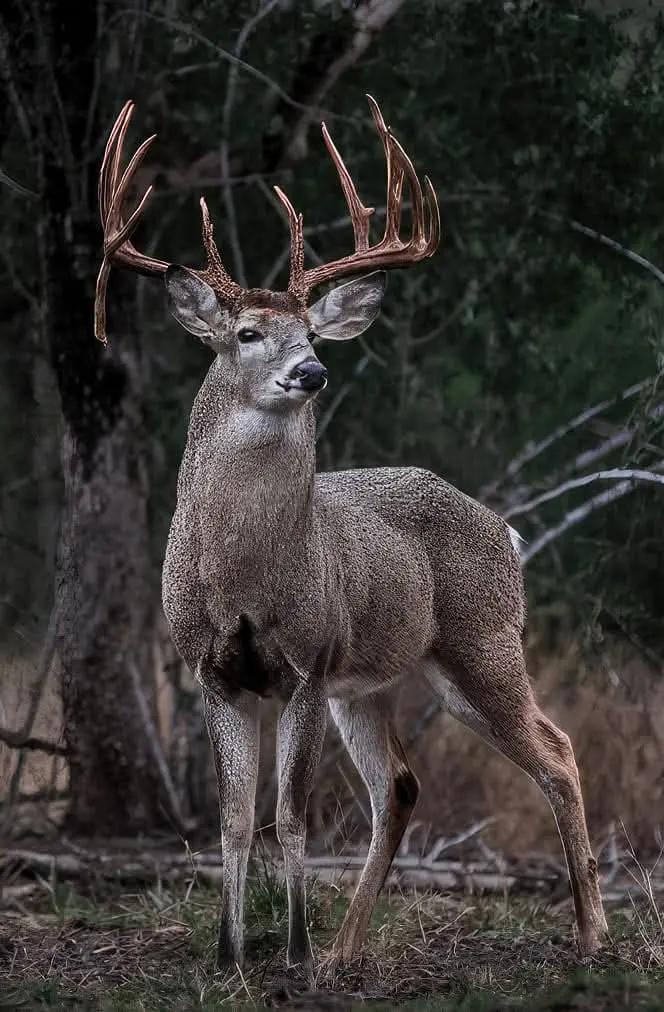 @Sippi Boyz Outdoors