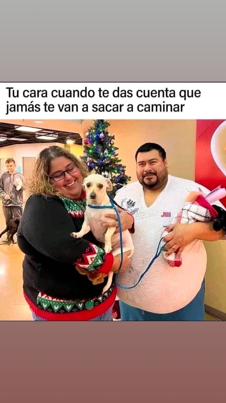 @memes y melames