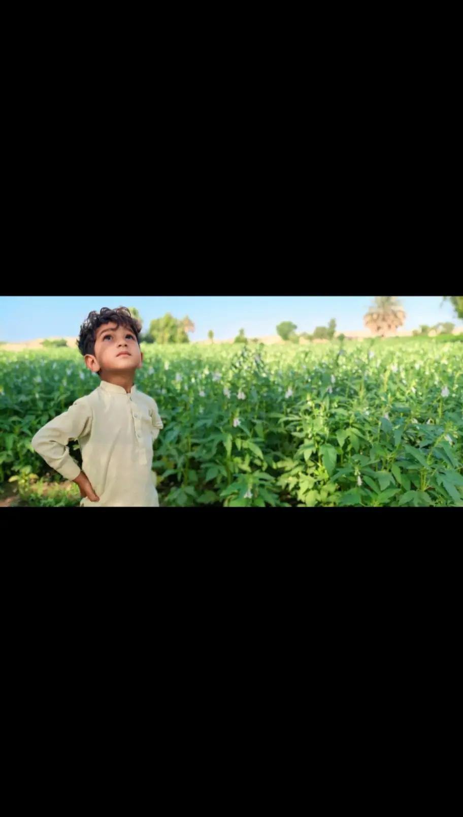 @Dr Arbab Balouch