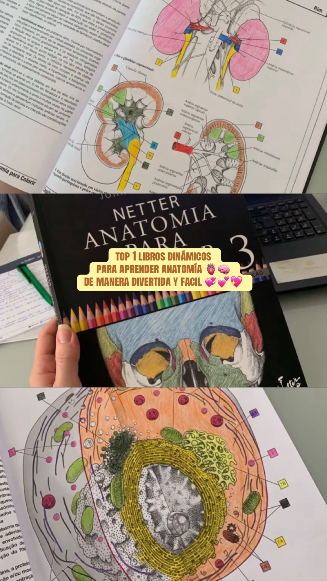 @Librer&iacute;a M&eacute;dica| Med.shop2