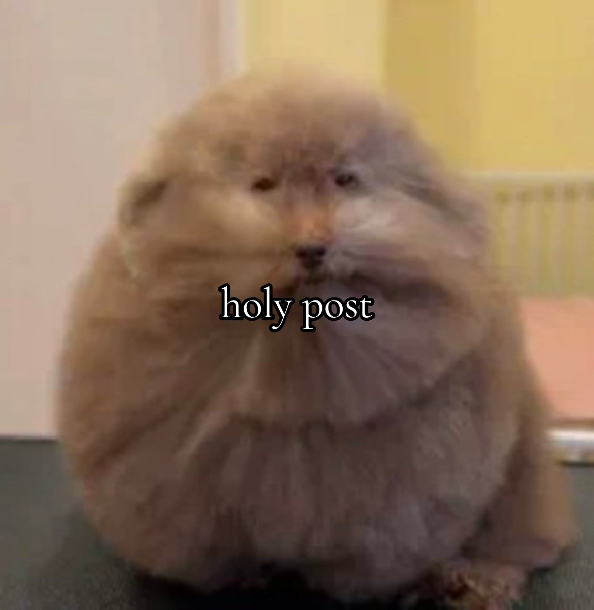 @imthinkingsohard