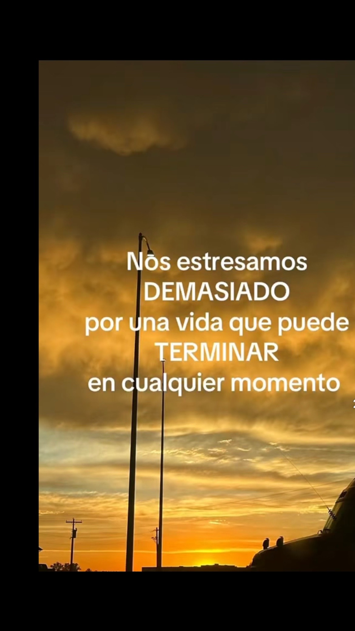 @Pedro Cruz