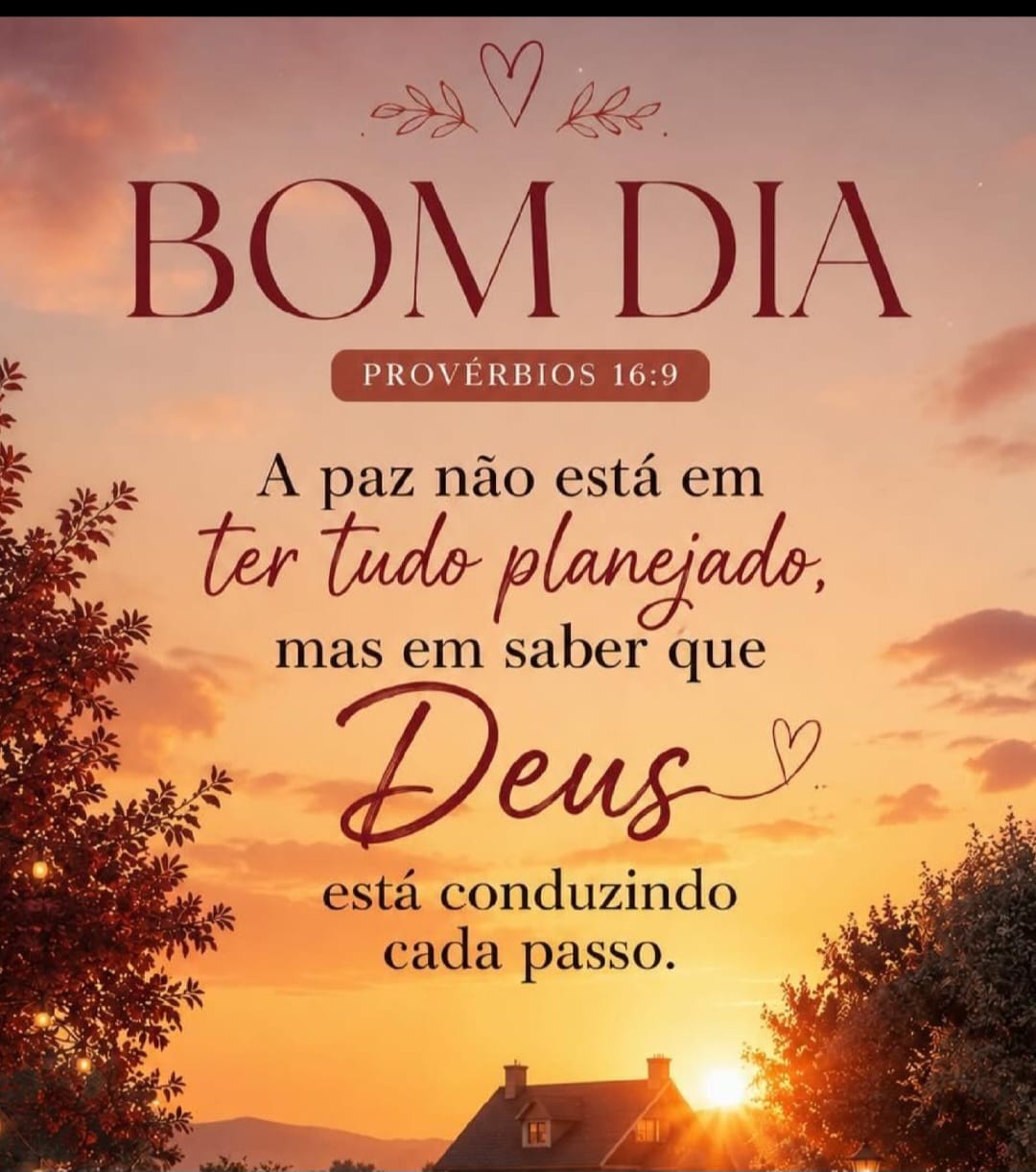 @Luciana Santos Chaga