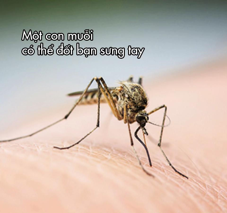 @ThiVietnamYoungLionsth&igrave;đổit&ecirc;n