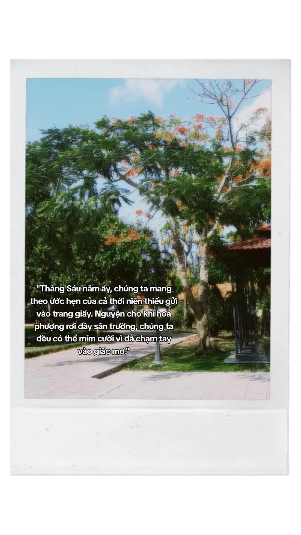 @sun☼