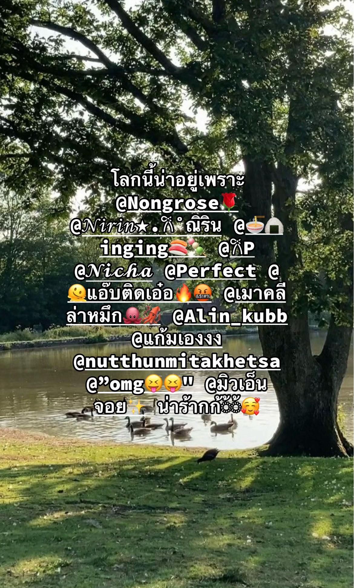 @ของเล่นกุหลาบ🤑