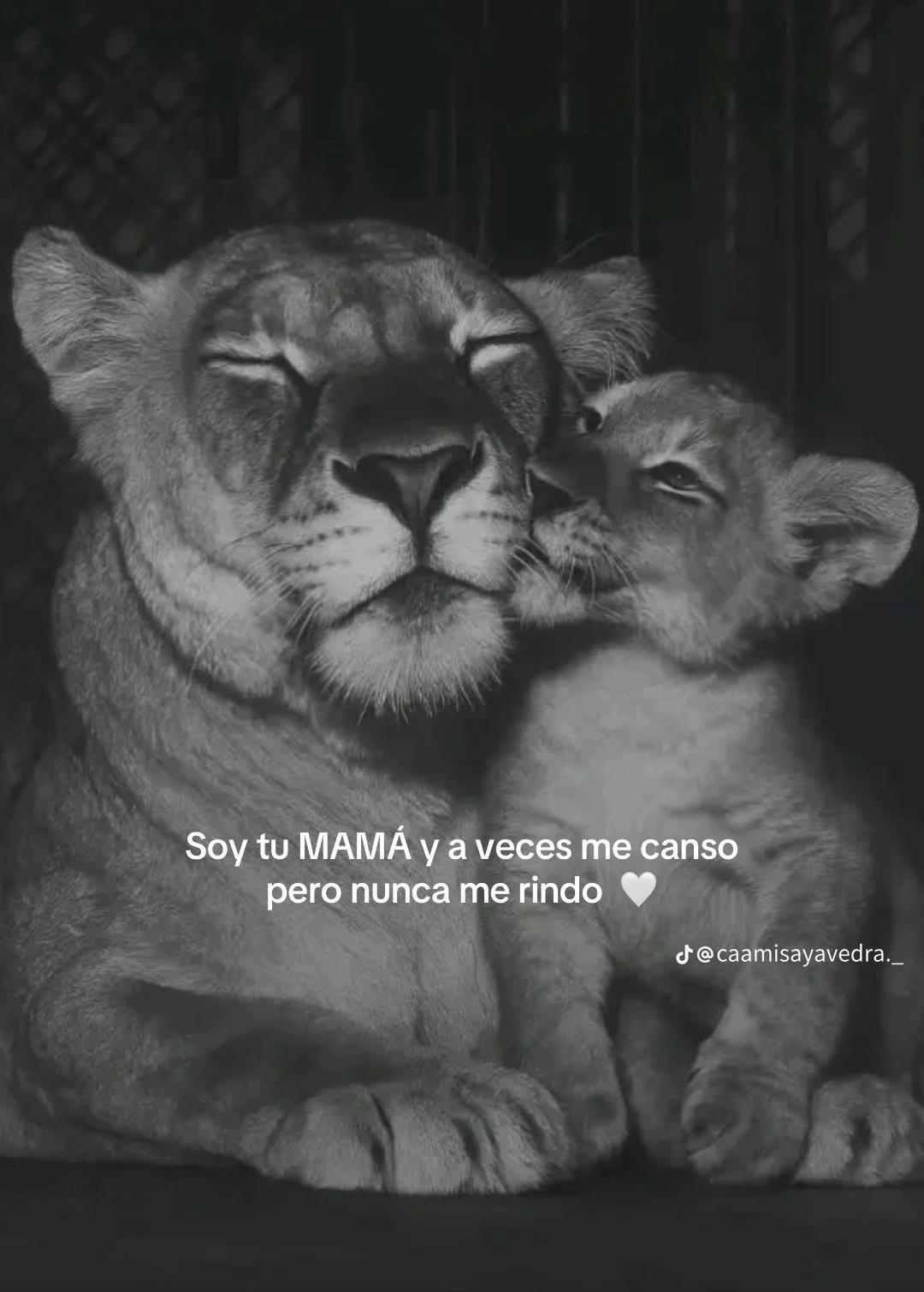 @Diana Fonseca