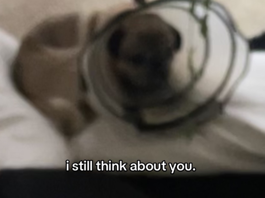 @vince