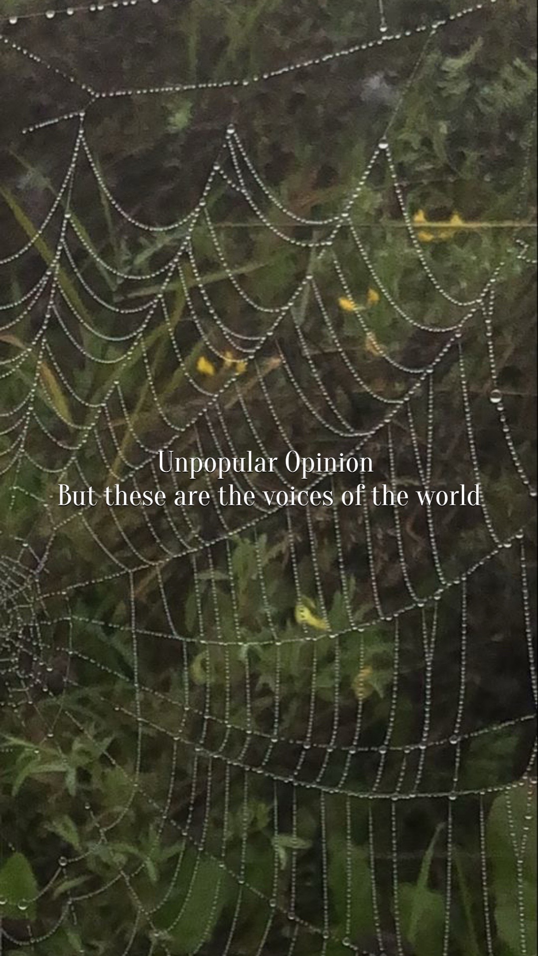 @⋆˚꩜。༺𓋼𓍊𝐹𝒶𝑒𝒯𝓇𝒶𝓅𓍊𓋼༻☆