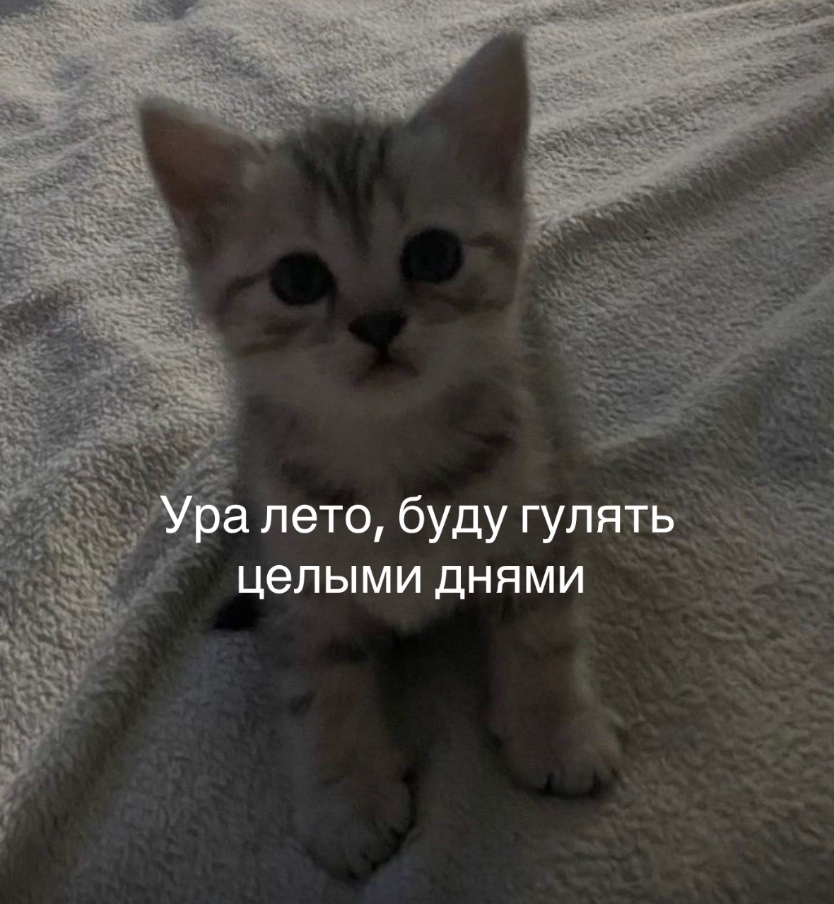 @вечная пустота