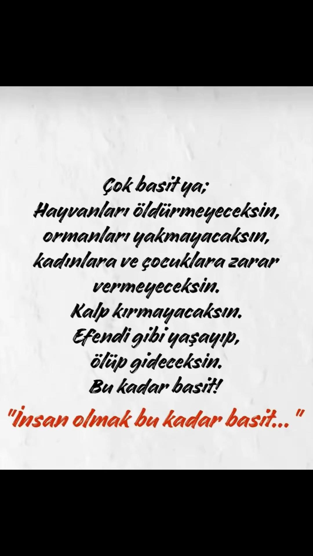 @🇹🇷🇹🇷ALFA🇹🇷🇹🇷