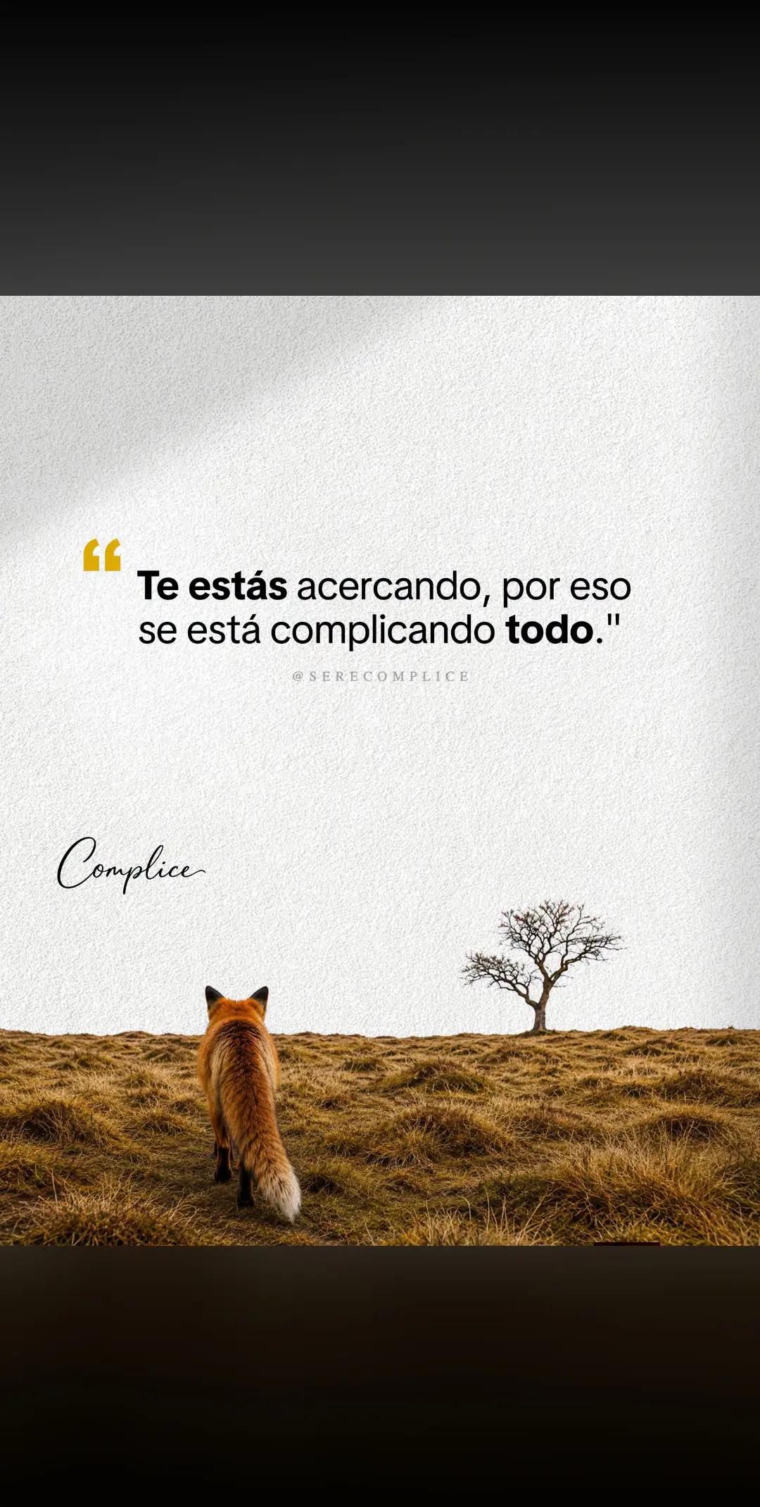 @🤗🫧 Yuneisi 🇻🇪💕😶&zwj;🌫️