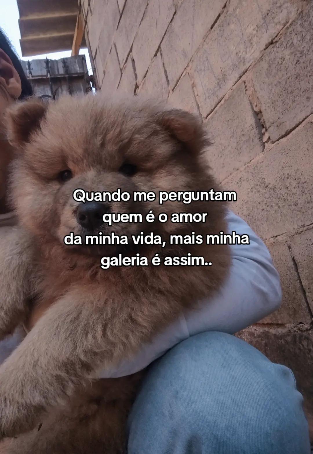 @Noelle_Lima