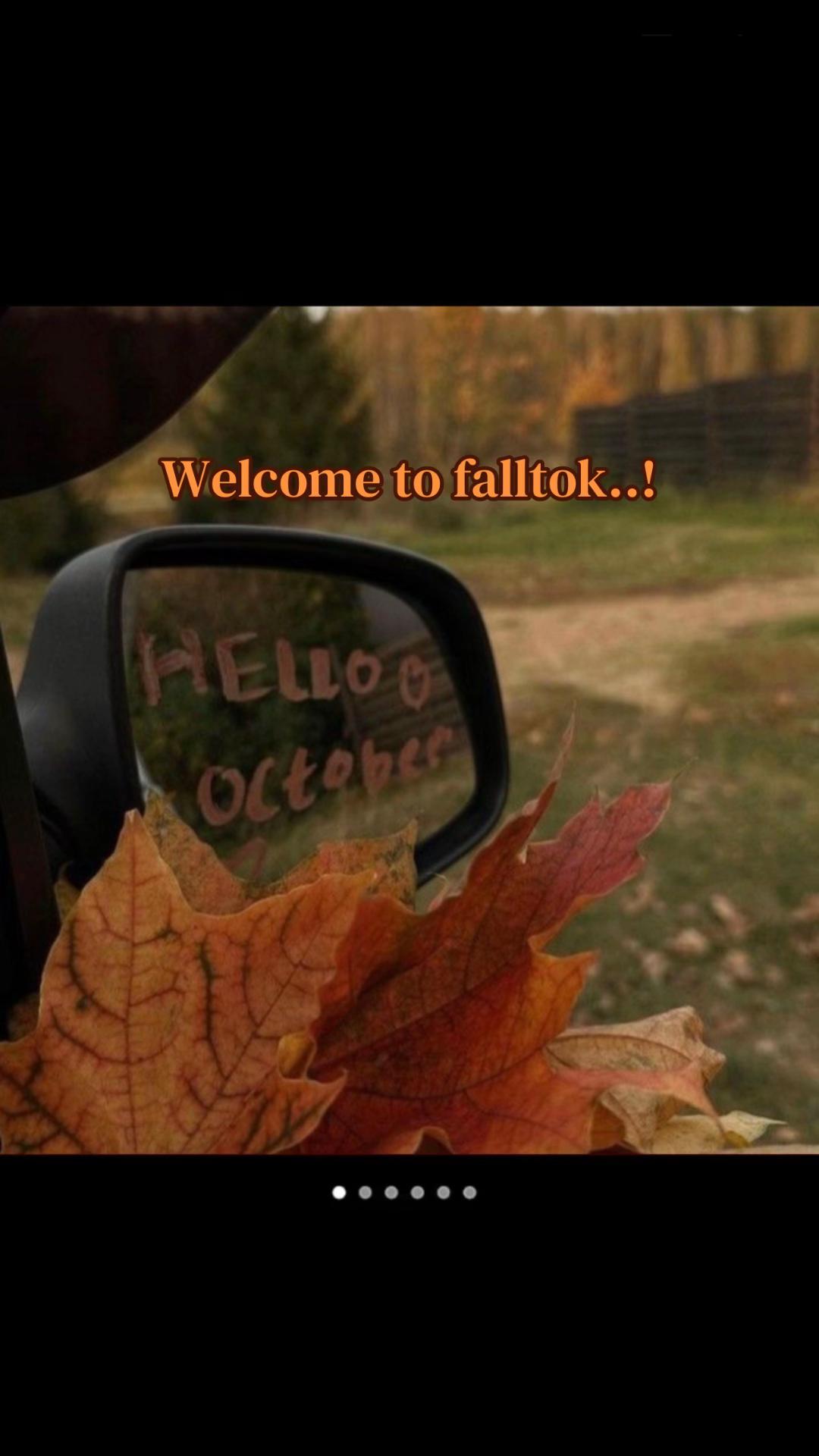 @falltok 🍂