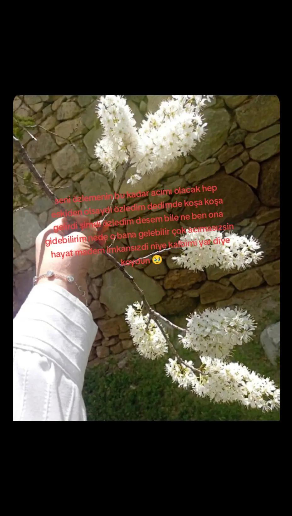 @nida199504