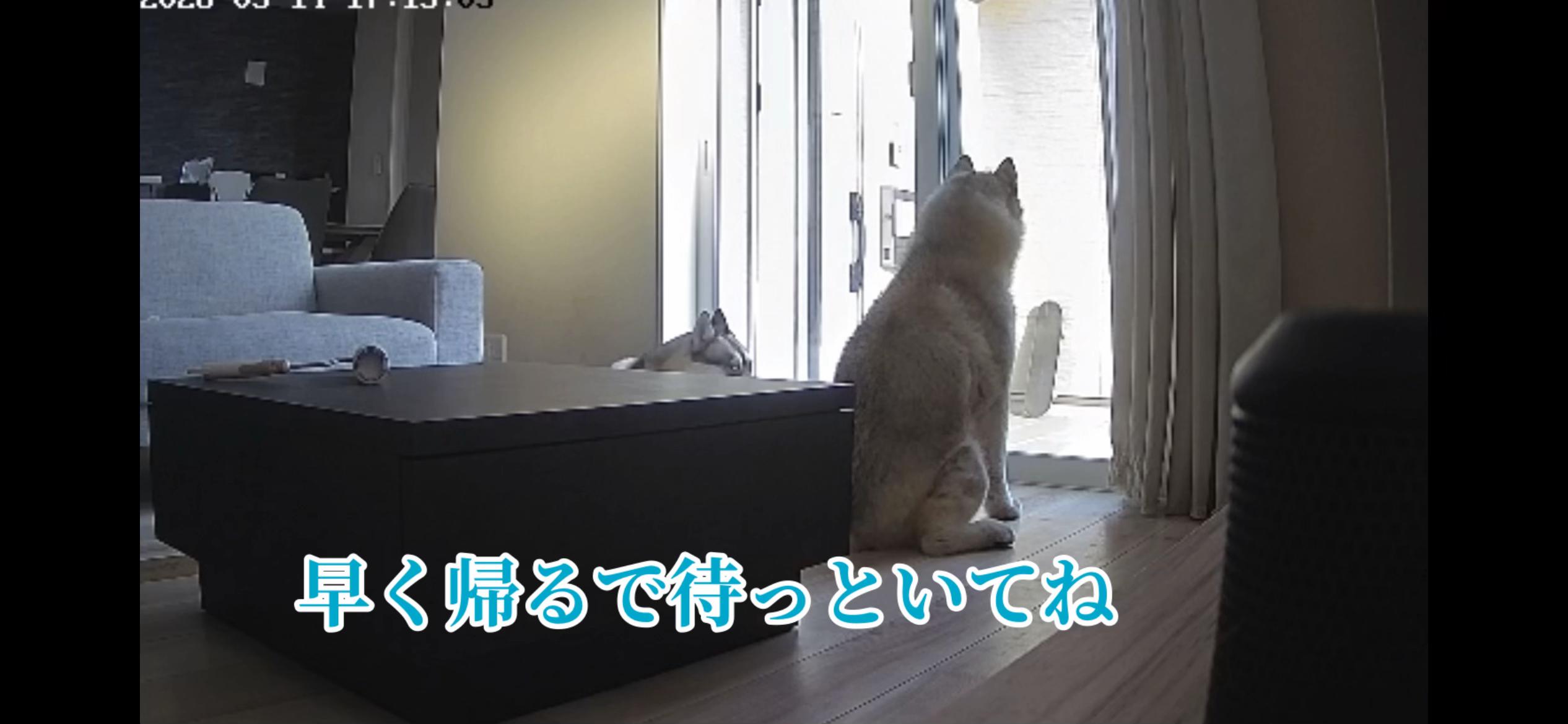 @サン☀️とムーン🌙