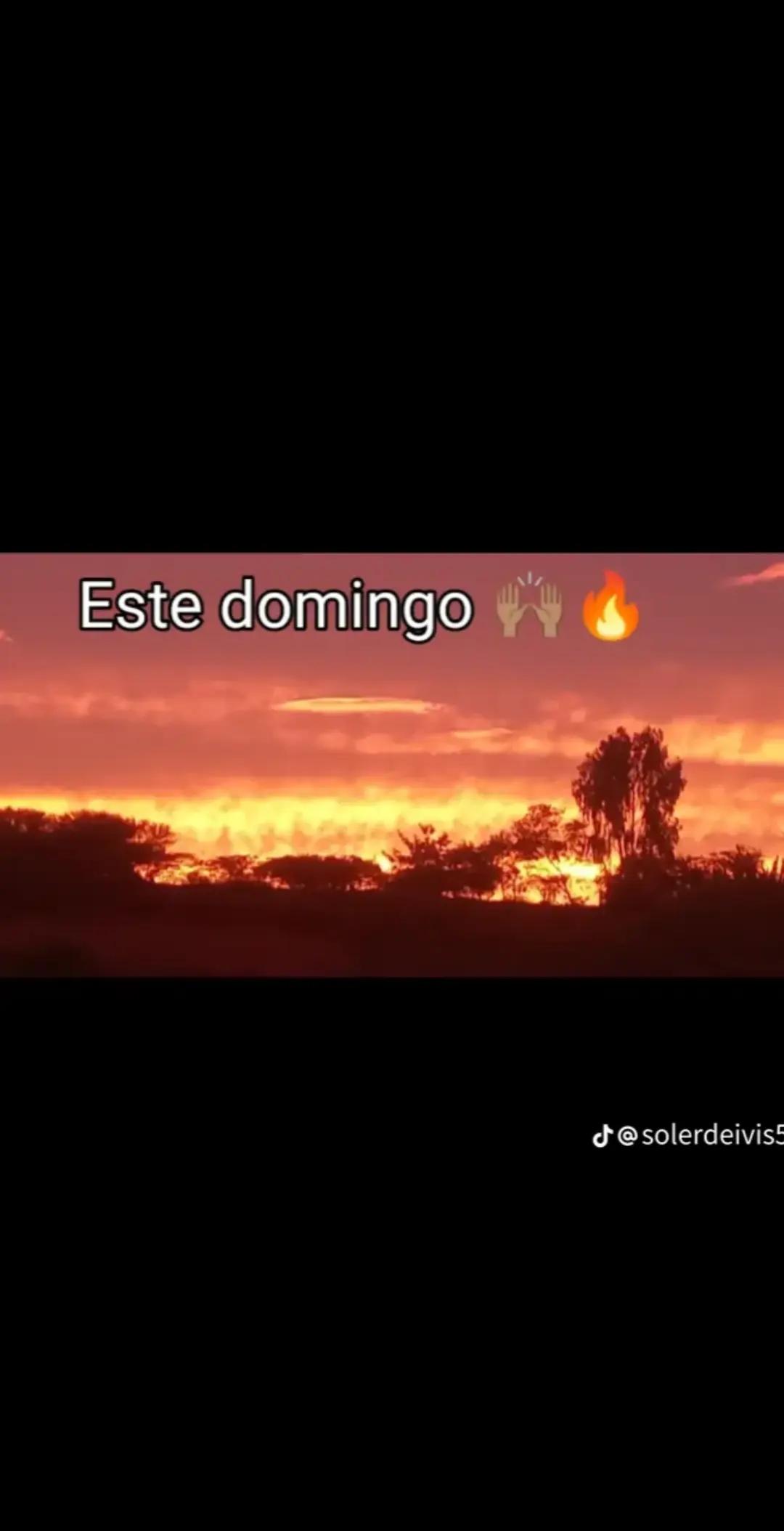 @Zoe Luciana