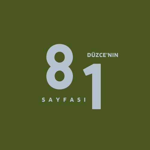 @81 D&uuml;zce