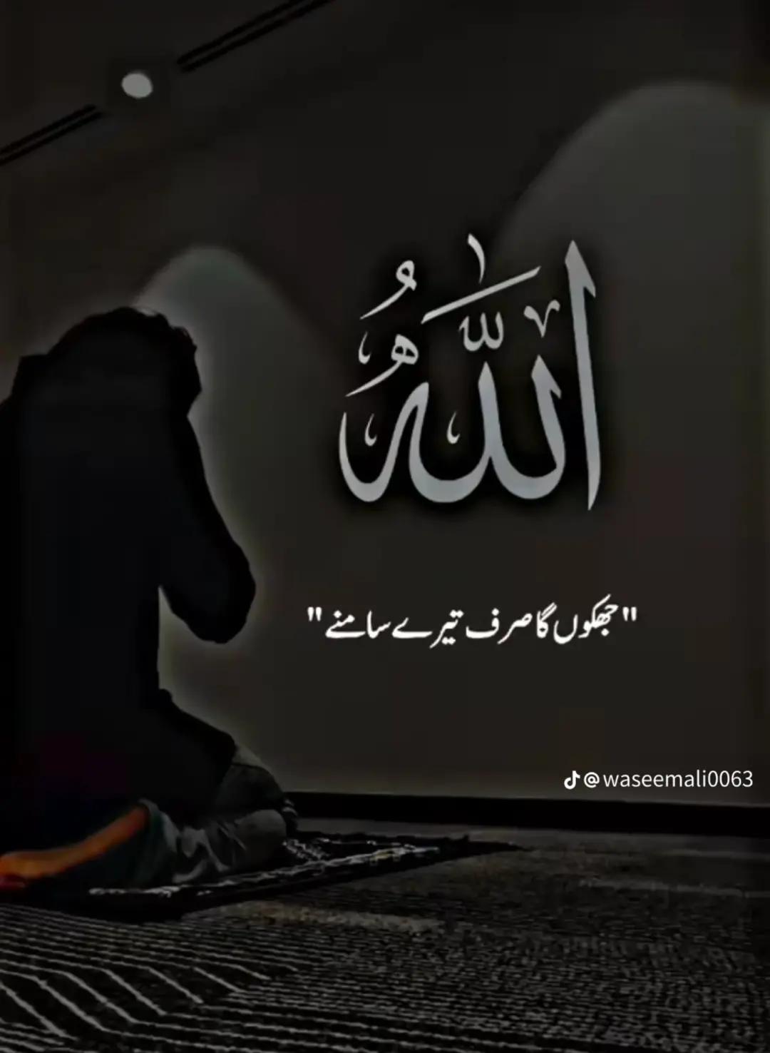 @Nazak shah 03135102868
