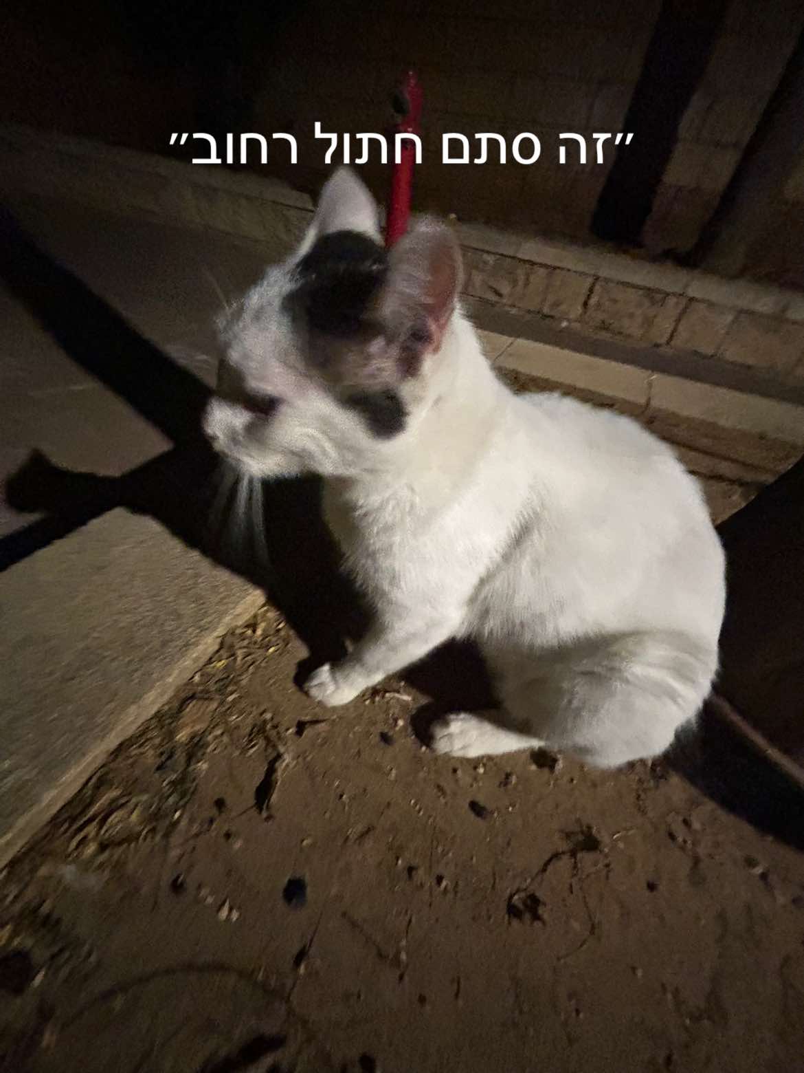 @נעם בלי ו׳😛