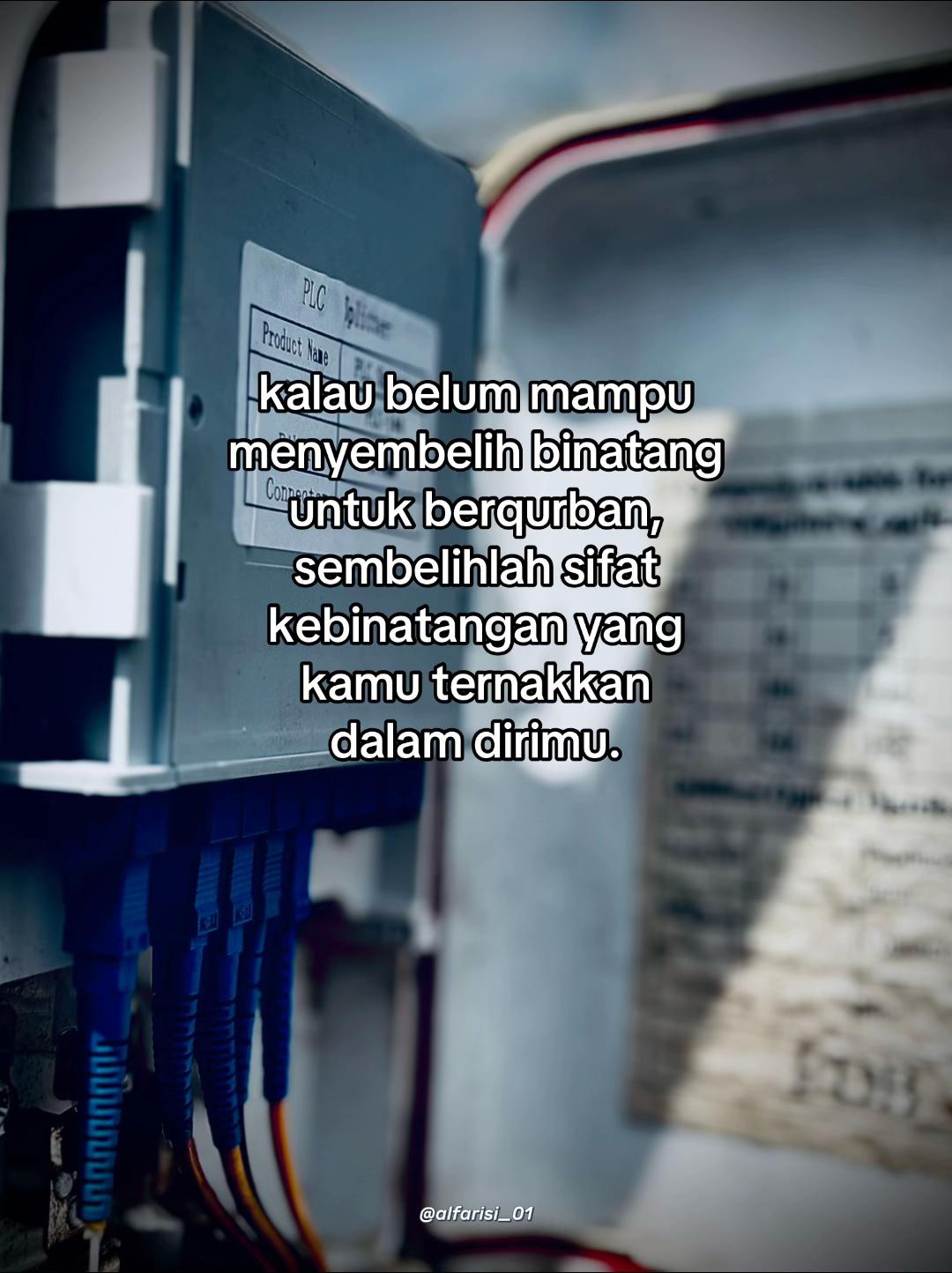 @Alfarisi