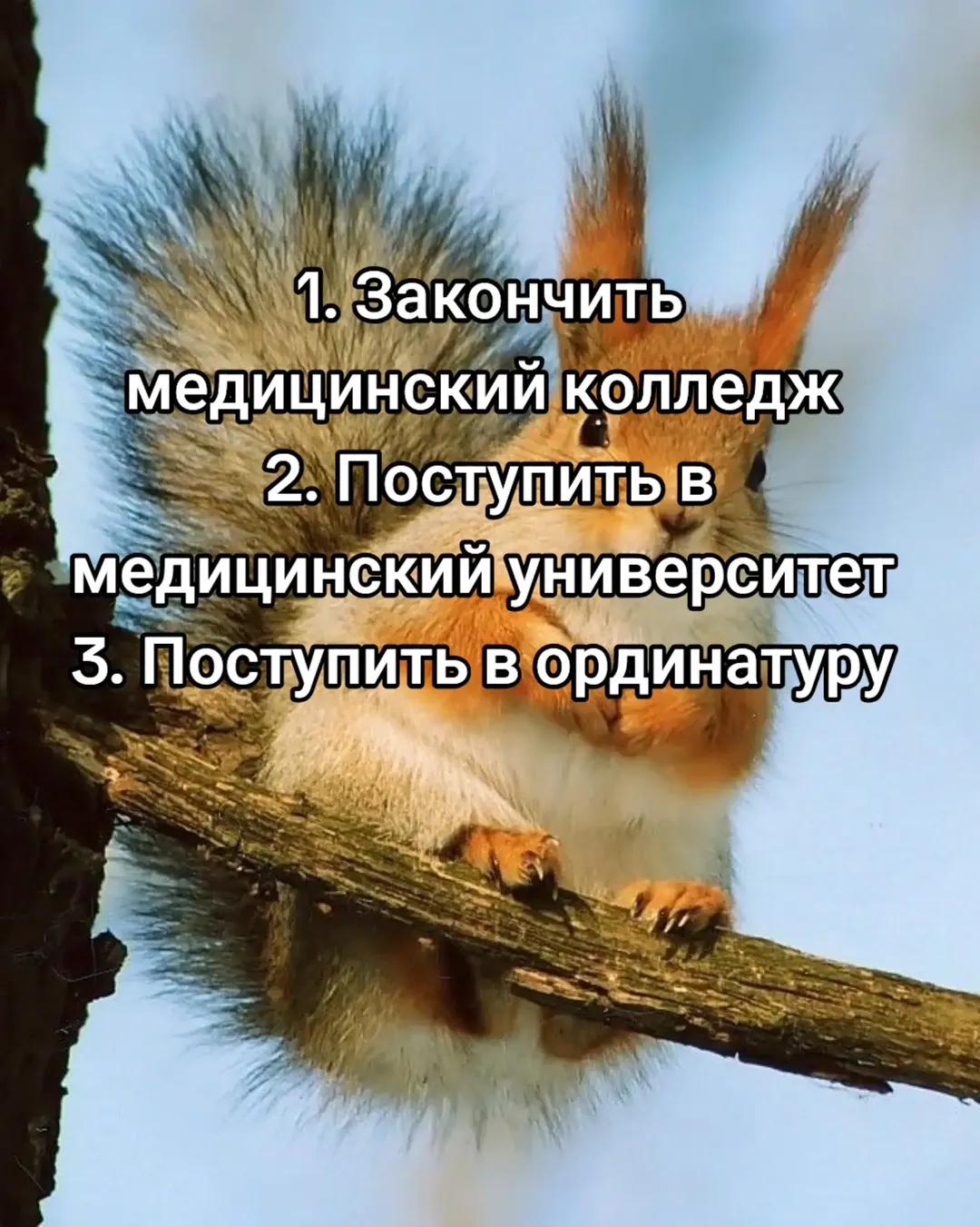 @squirrel 🐿️
