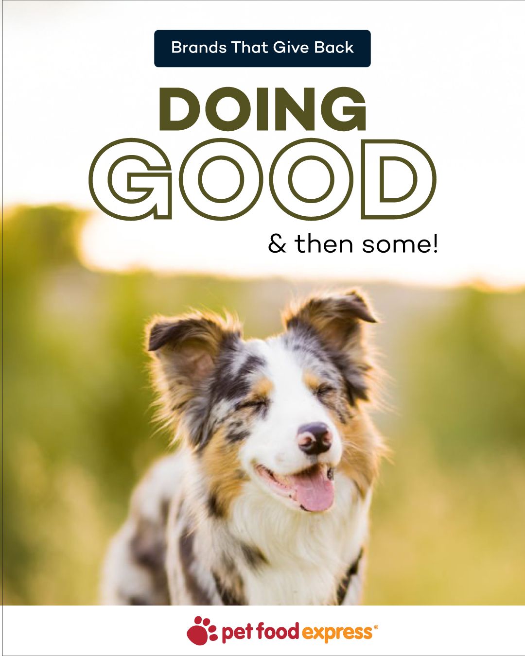 @Pet Food Express