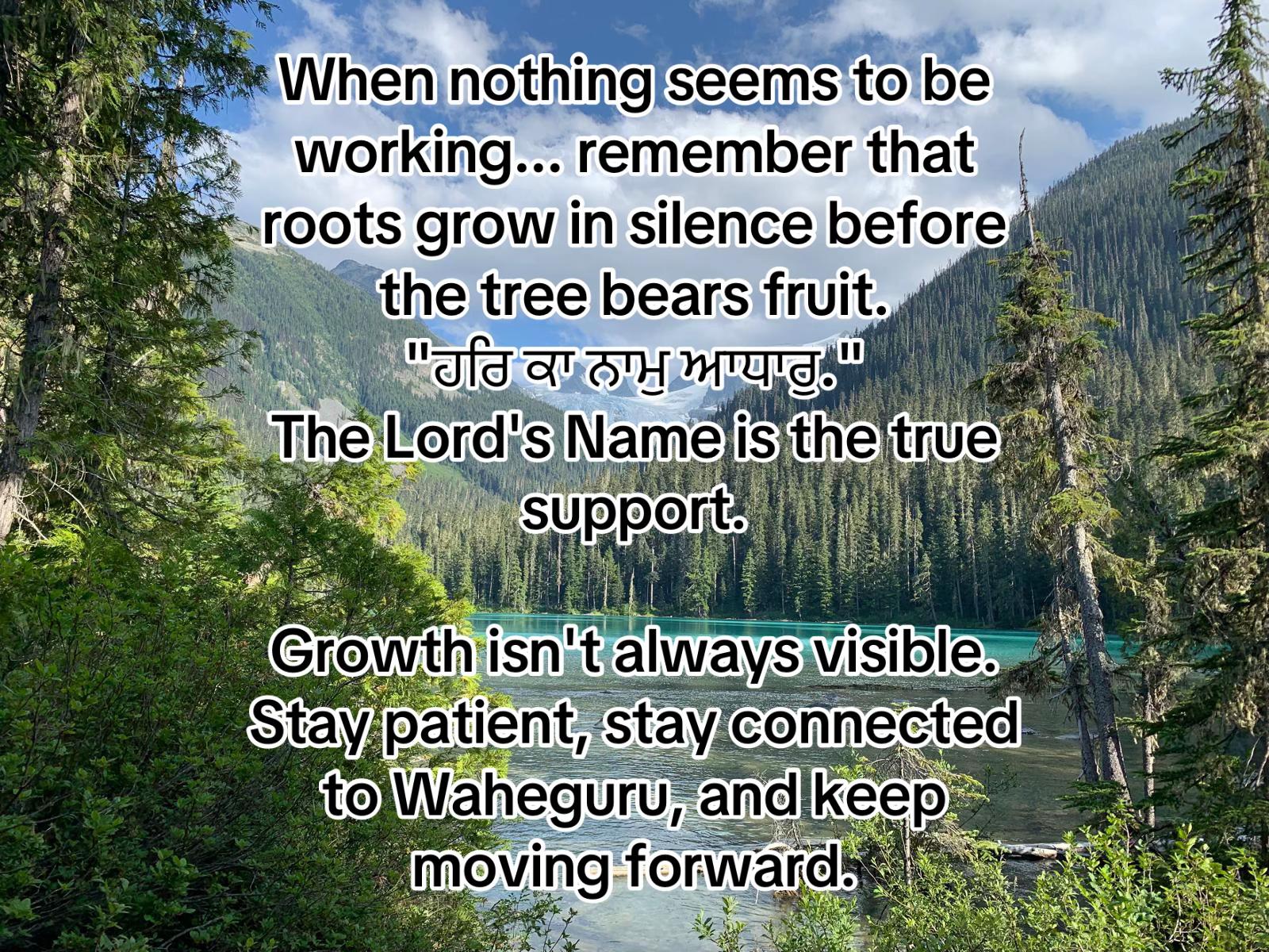 @Nature and life