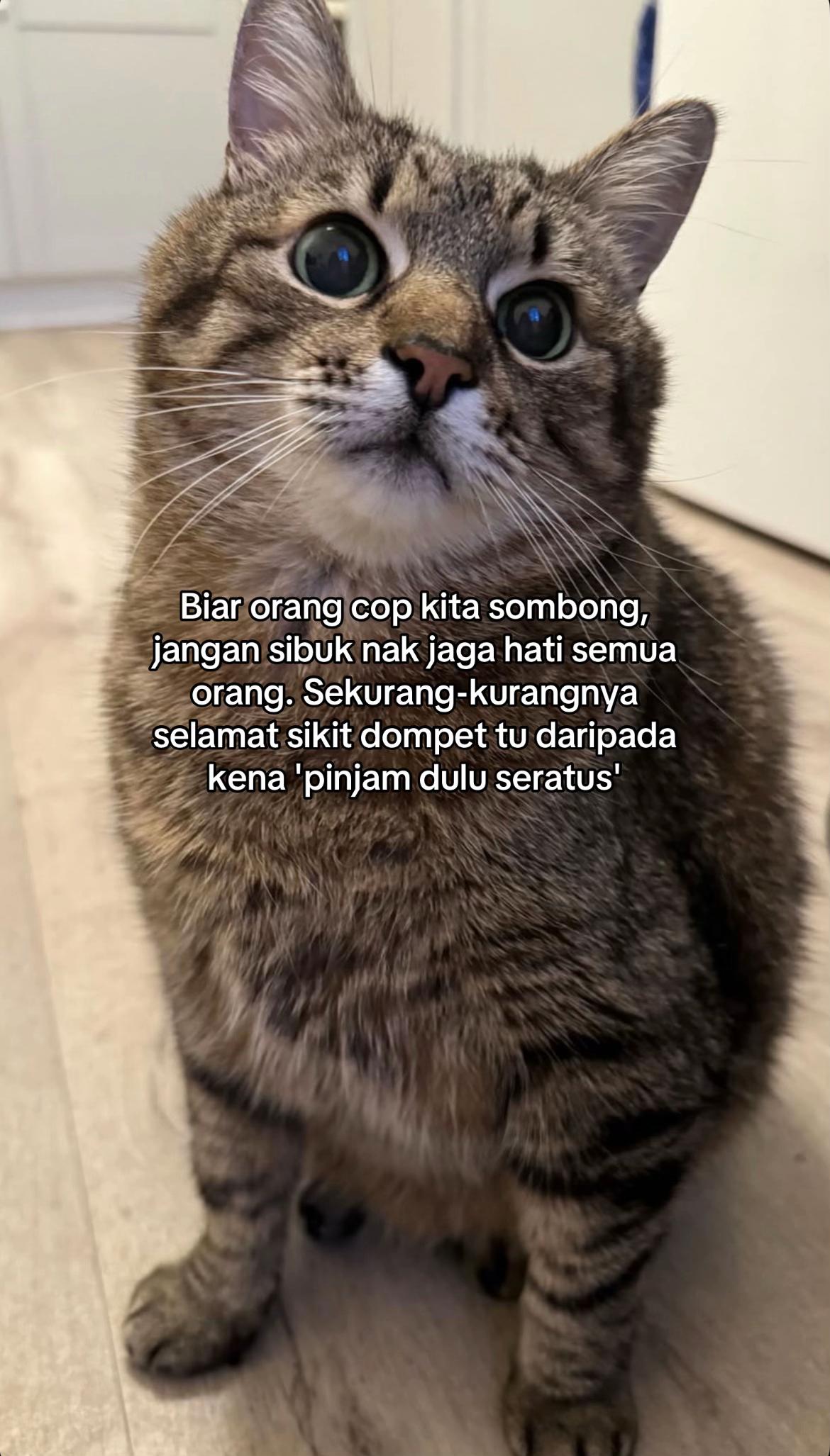 @ngeong prot prot