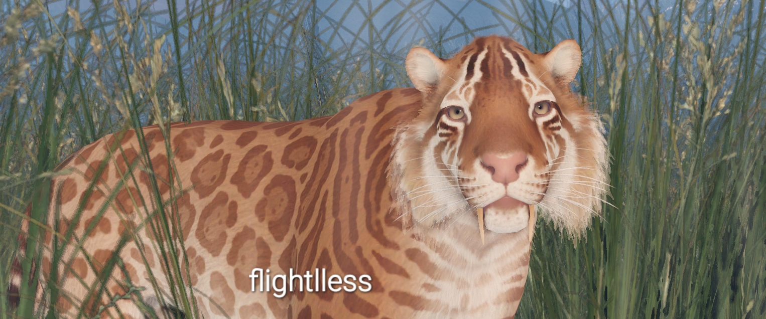@Flightlless