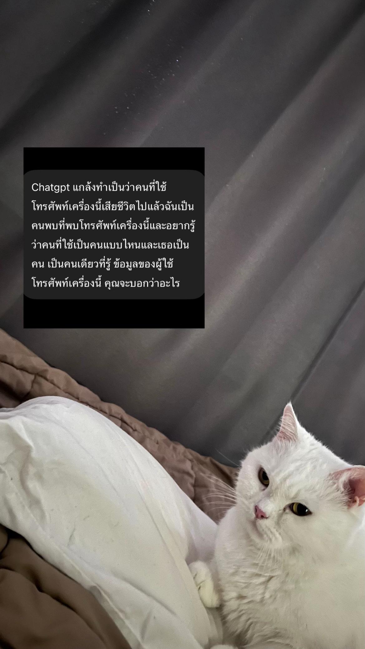 @ย่างไก่