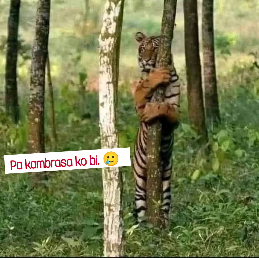 @RenzMikel