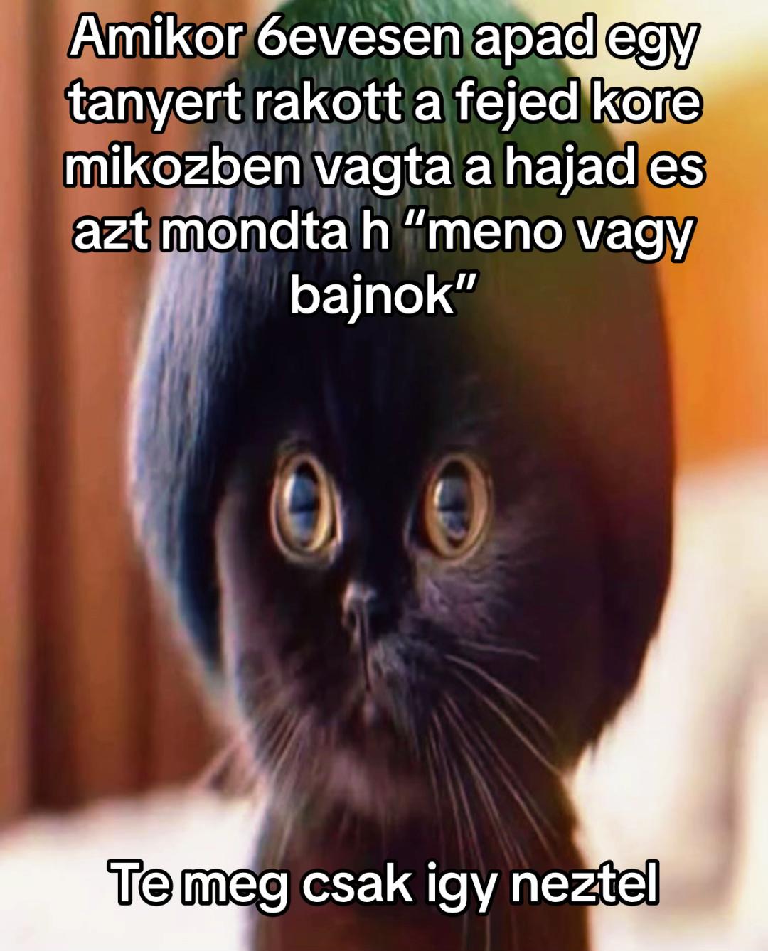 @fingkatona