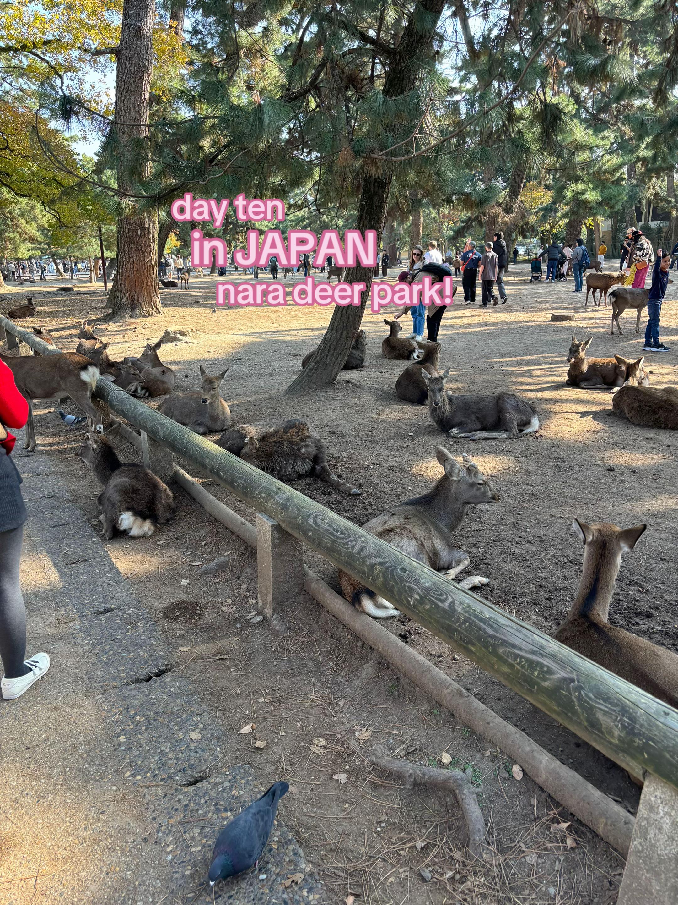 @soph ࣪ ִֶָ☾.