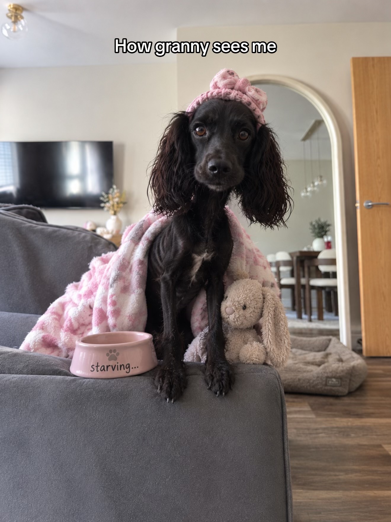 @maggie.moo.cocker