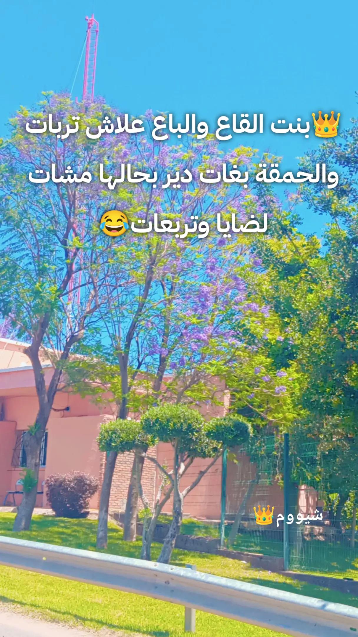 @شيووم👑