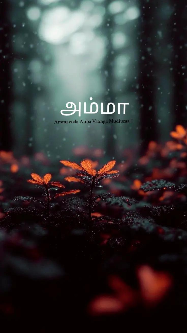 @~ Տ Ꮋ Ꭺ_🌷