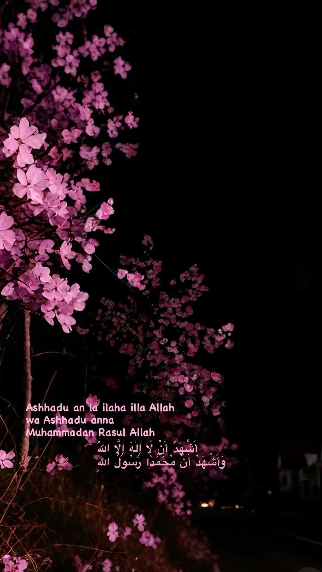 @عائشة✨