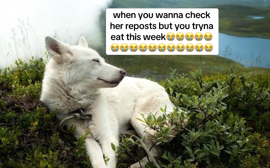 @mani
