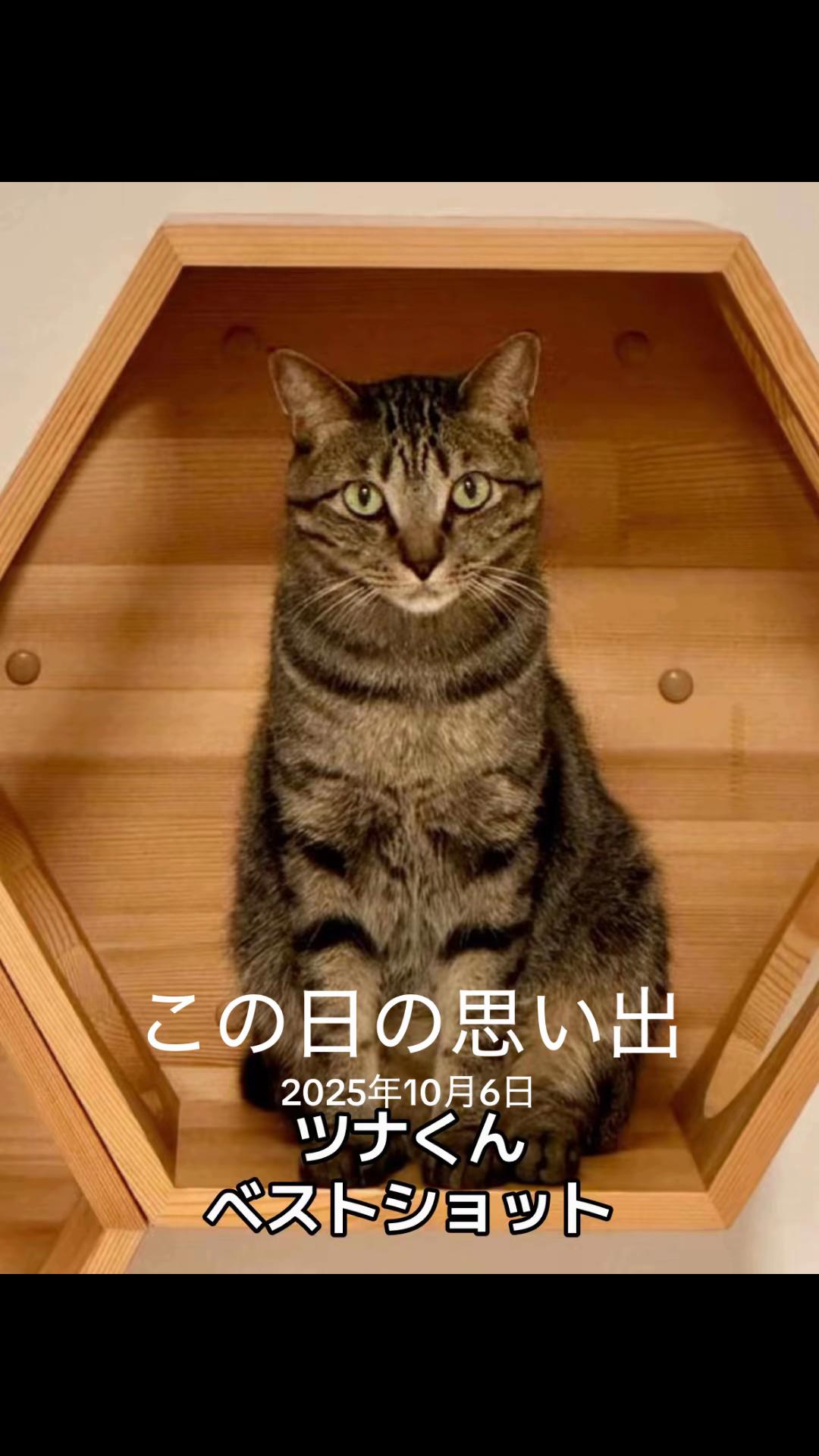 @⛄️うちゃ🐯⭐️🧸