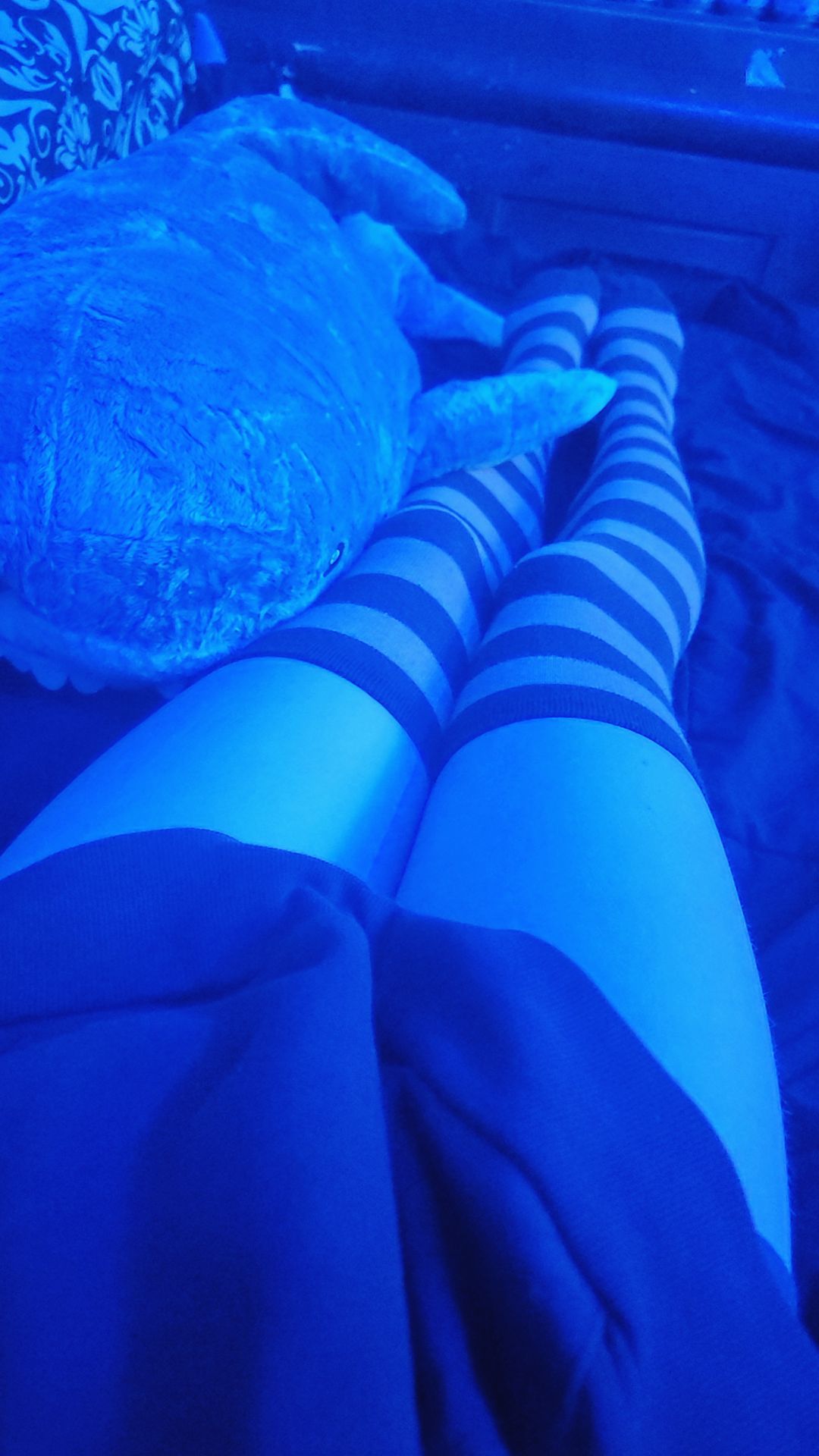 @&bull;∘🤍 𝓣𝓪𝔂𝓵𝓸𝓻 🦈∘&bull;