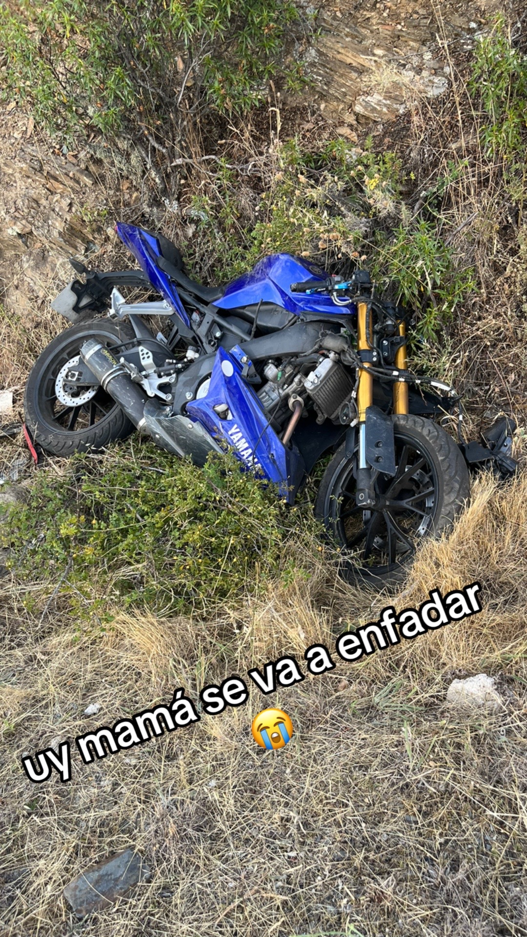 @looota_003