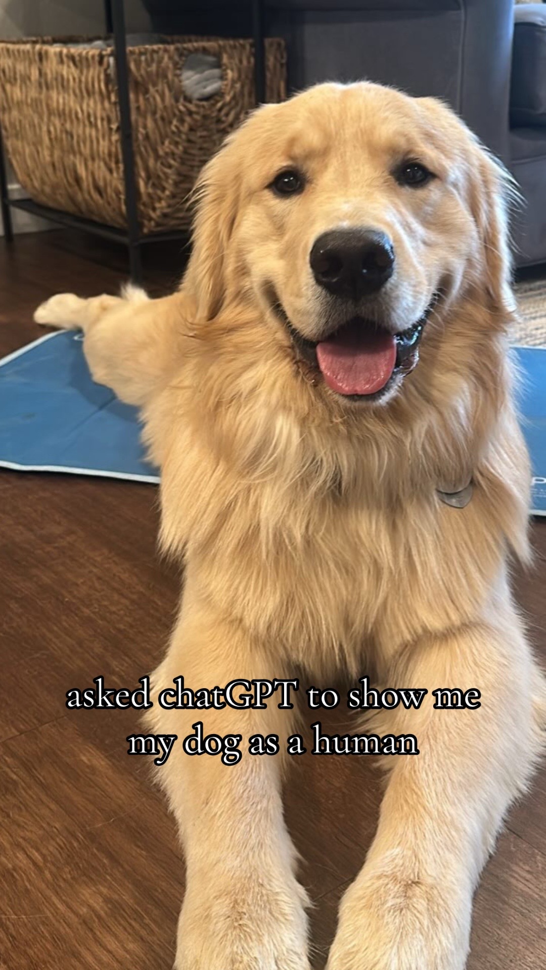 @rigatoni_thegolden