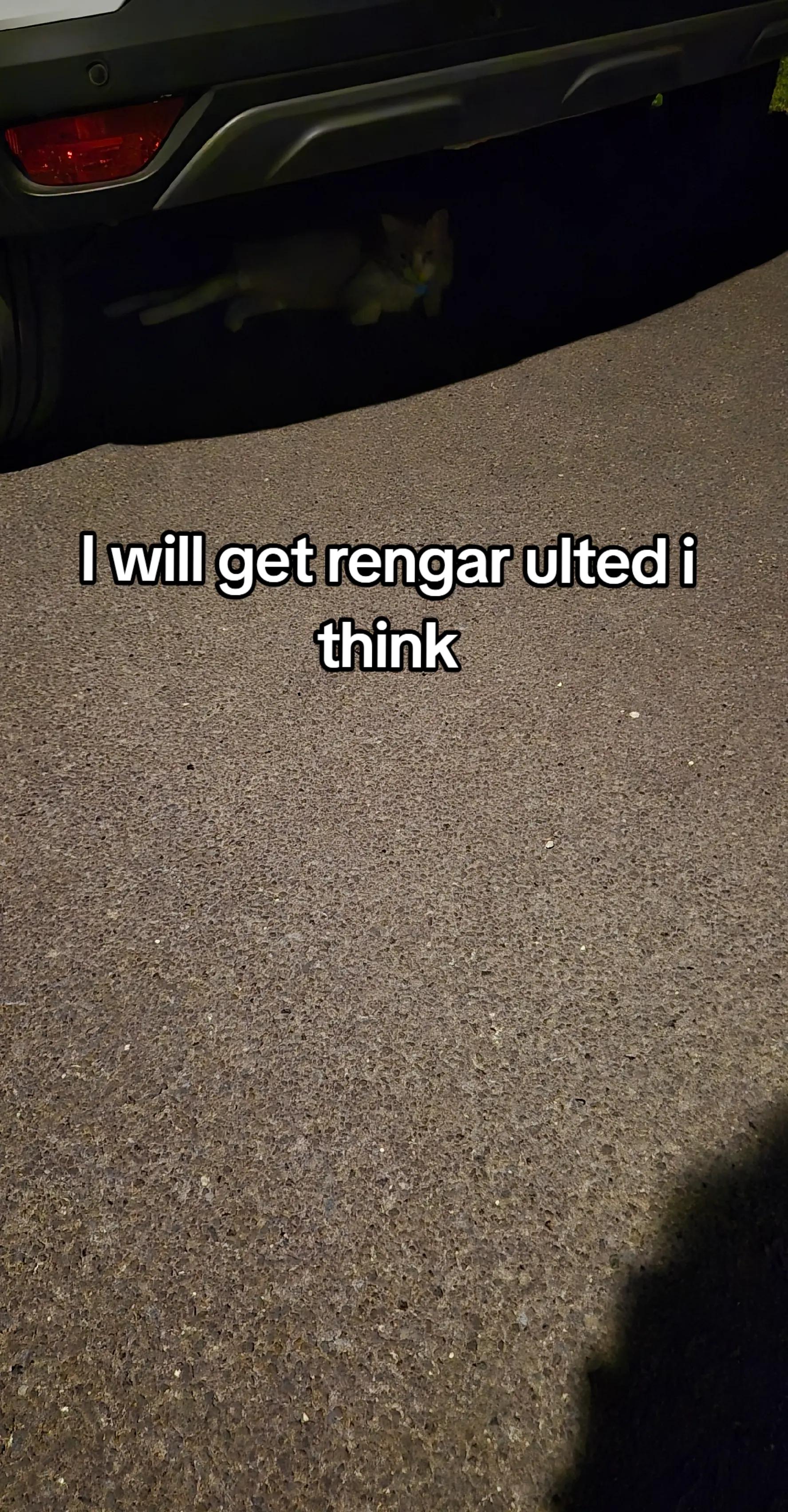 @legend_matti