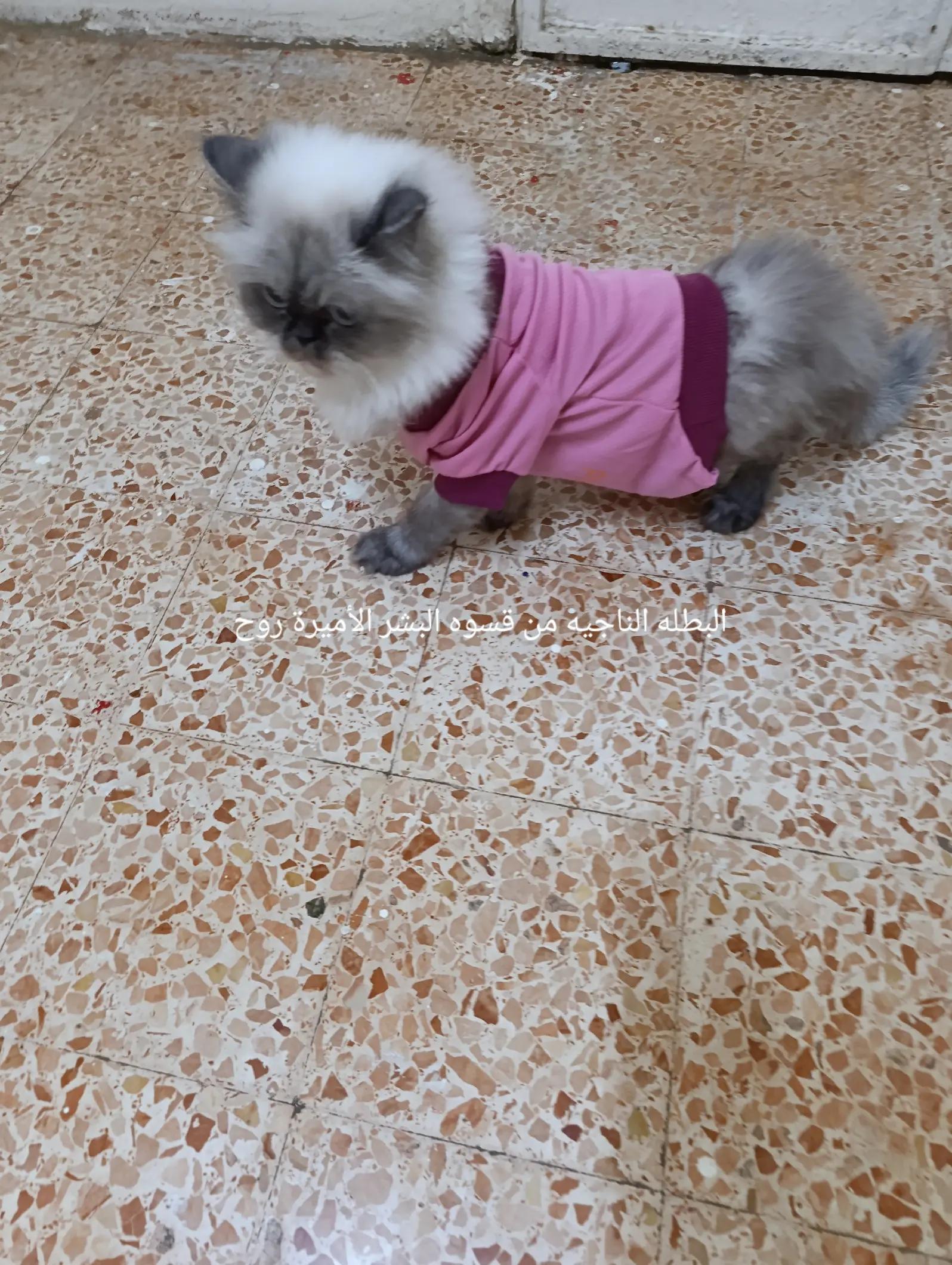 @رنا الروح