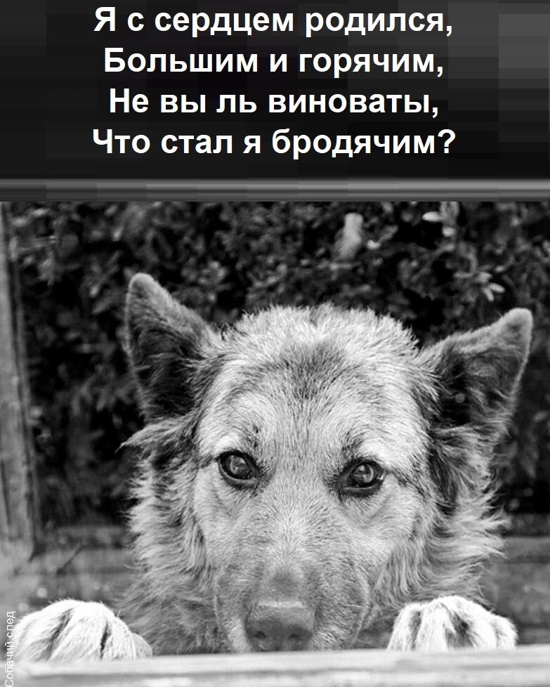@Денис Манис !