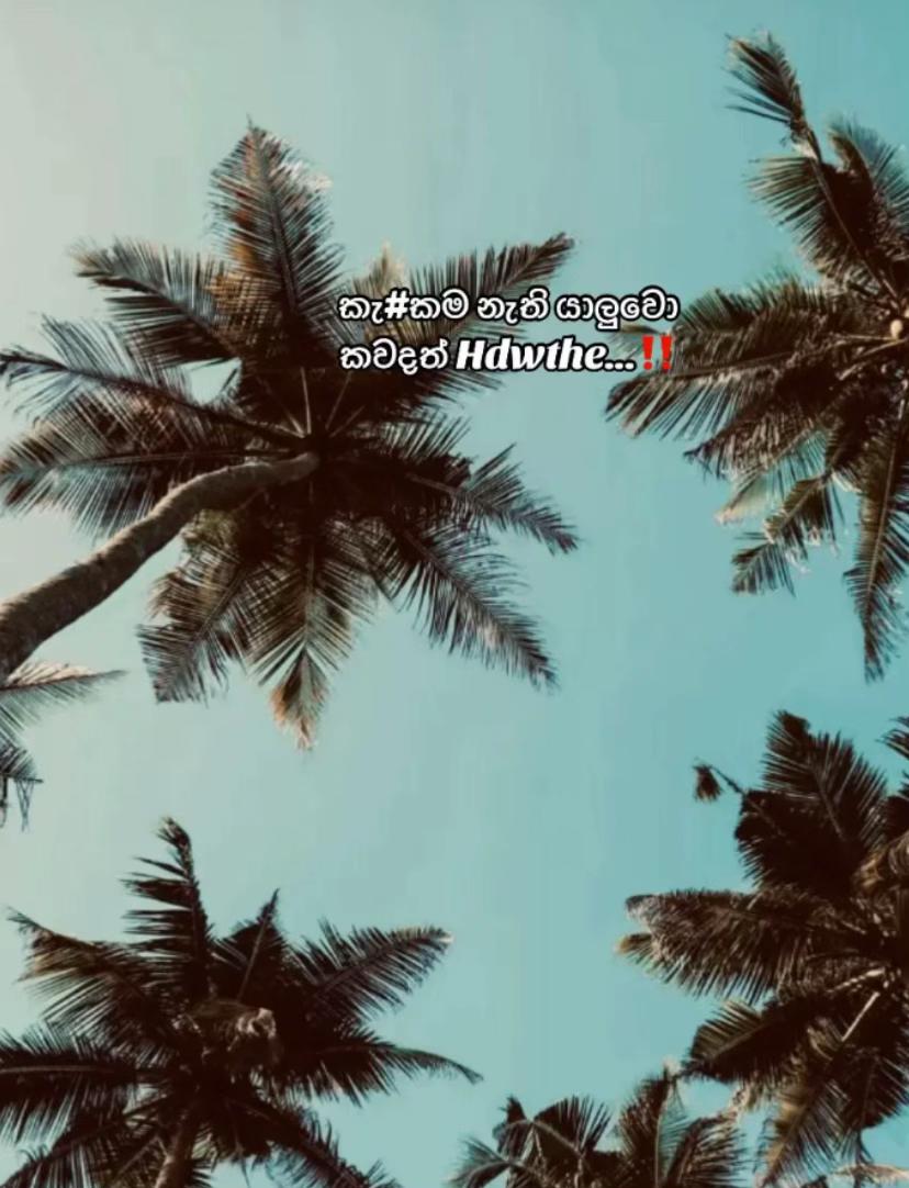 @ᐯ丨ᗪㄩ (විදු) 😩🤍🥀