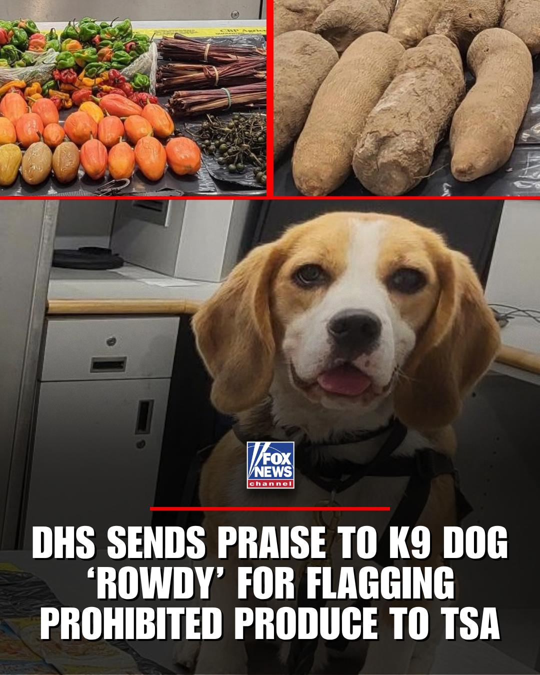 @Fox News
